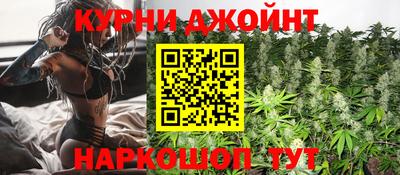 МДПВ Гай